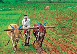 Organic Farming